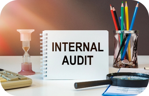 internal-audits-img-cas-and-associates